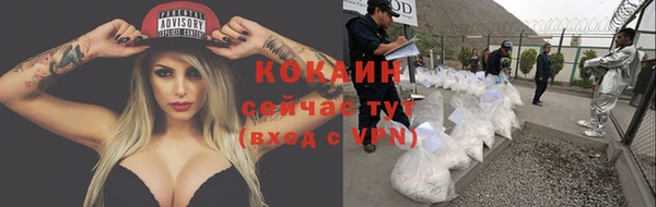 ПСИЛОЦИБИНОВЫЕ ГРИБЫ Краснотурьинск