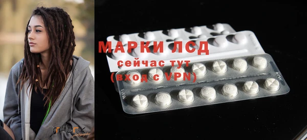ПСИЛОЦИБИНОВЫЕ ГРИБЫ Краснотурьинск