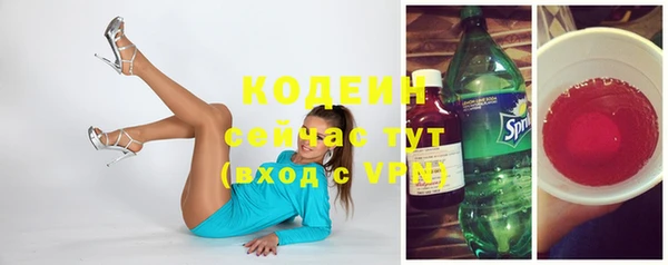 гидра Корсаков