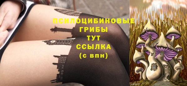 соль курить ск Краснослободск